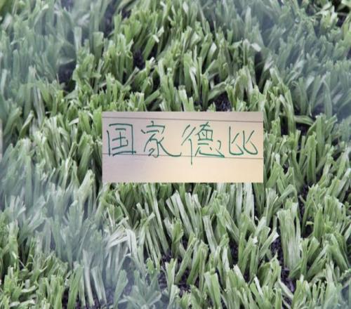 新晚报,中国冰球健,儿憾失奖牌,幸运飞艇,彩票平台,高频彩票,在线投注,彩票预测