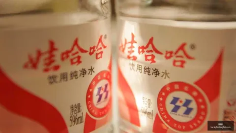 2026最新米内罗足协杯，彩票预测，意外受伤，球员毛伟杰停赛3场罚款15万事件真相